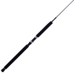 Prevail® III Spinning Jig Rod