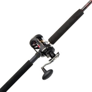 Warfare? Star Drag Level Wind Conventional Rod & Reel Combo