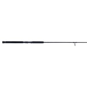 Squadron® IV Boat Spinning Rod